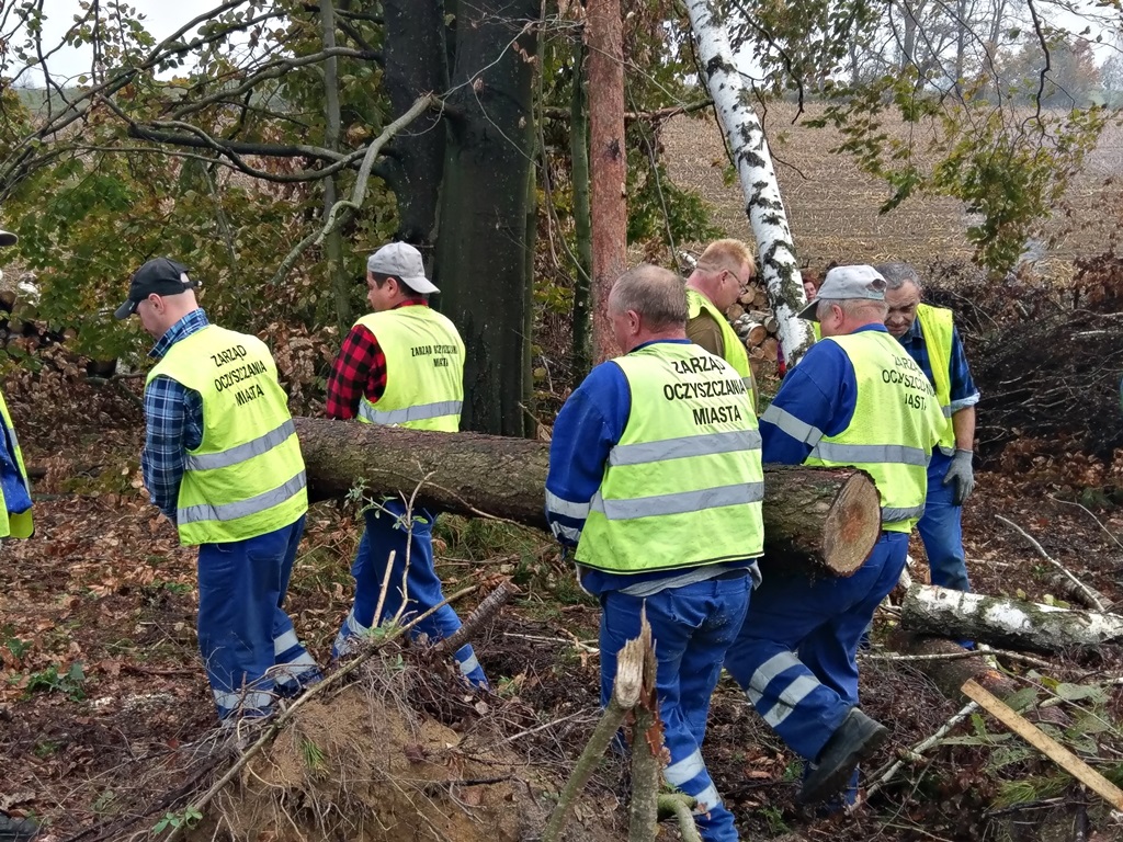 Grupa pracowników w odblaskowych kamizelkach niesie pień drzewa
