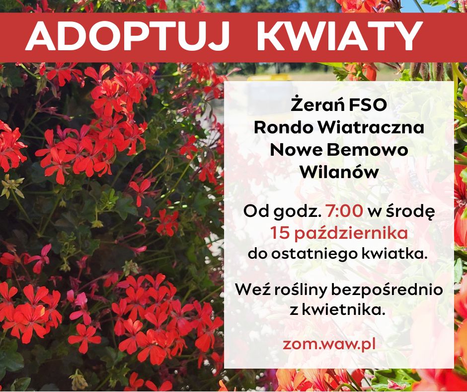 Plakat informacyjny Adoptuj kwiaty z pętli, Żeran FSO, Rondo Wiatraczna, Nowe Bemowo, Wilanów, 15.10 od 7.00