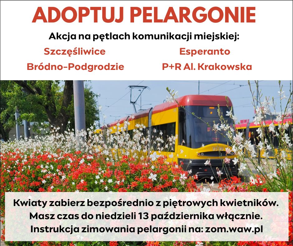 Plakat promujący akcję ze zdjęcie pelargonii na pętli tramwajowej oraz listą pętli, na których prowadzona jest akcja