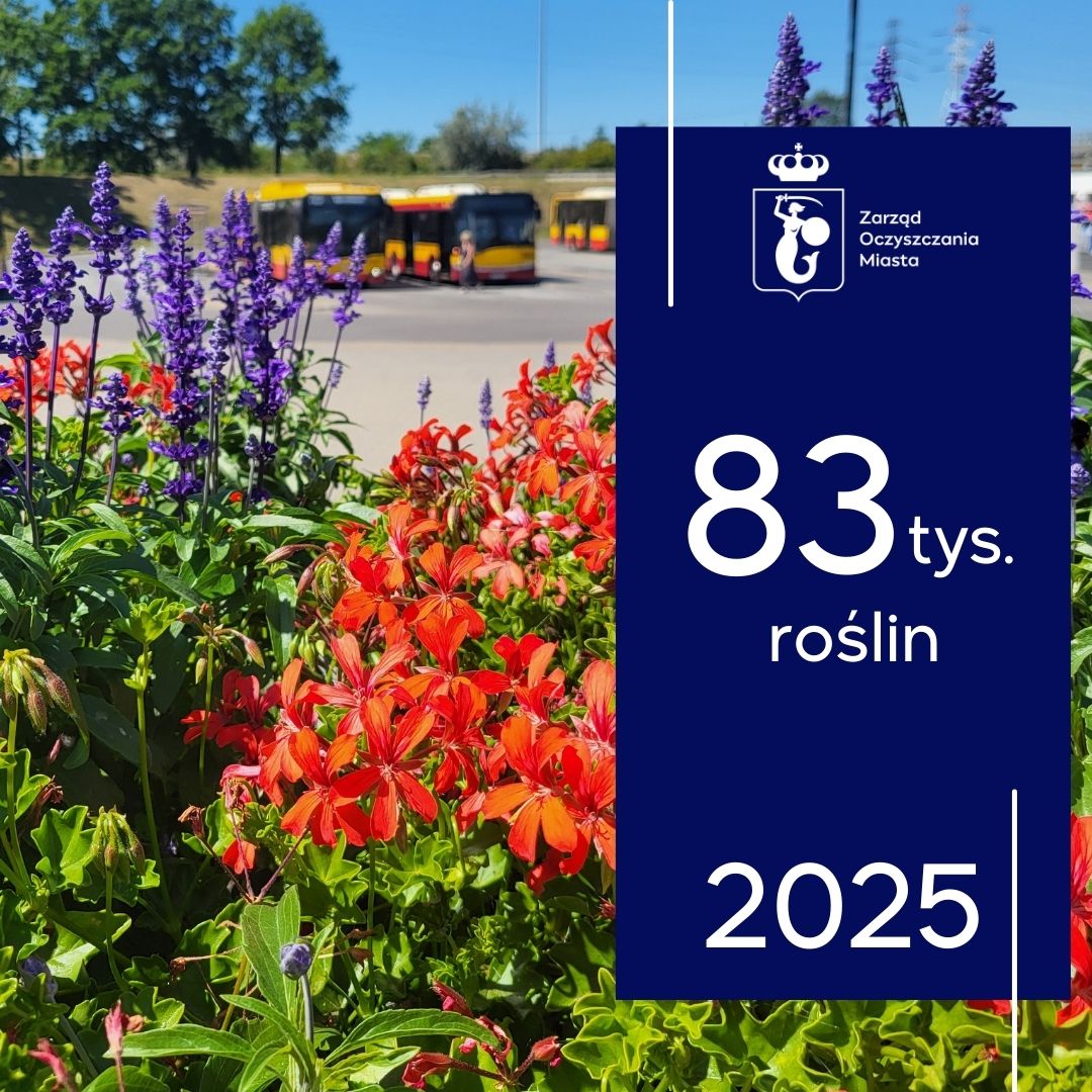 Letnie kwiaty w piętrowym kwietniku na pętli, w tle stoją autobusy. Z prawej strony na granatowym tle biały logotyp Zarządu Oczszczania Miasta, pod spodem napis 83 tys. roślin, 2025