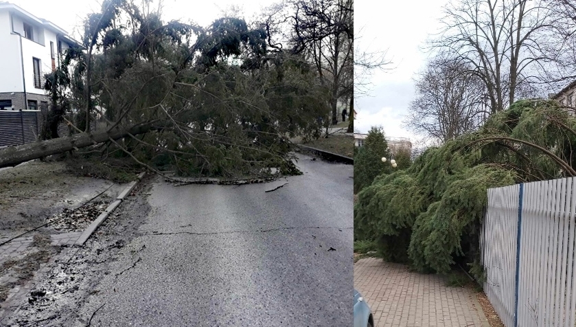 Drzewa powalone przez wiatr na jezdnię i na chodnik