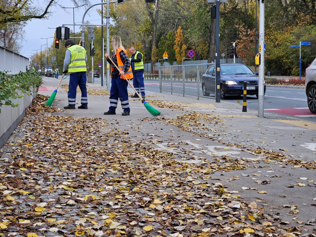 Ekipa porządkowa w kamizelkach odblaskowych zamiata z liści chodnik i ścieżkę rowerową, w tle ulica, po której jadą samochody