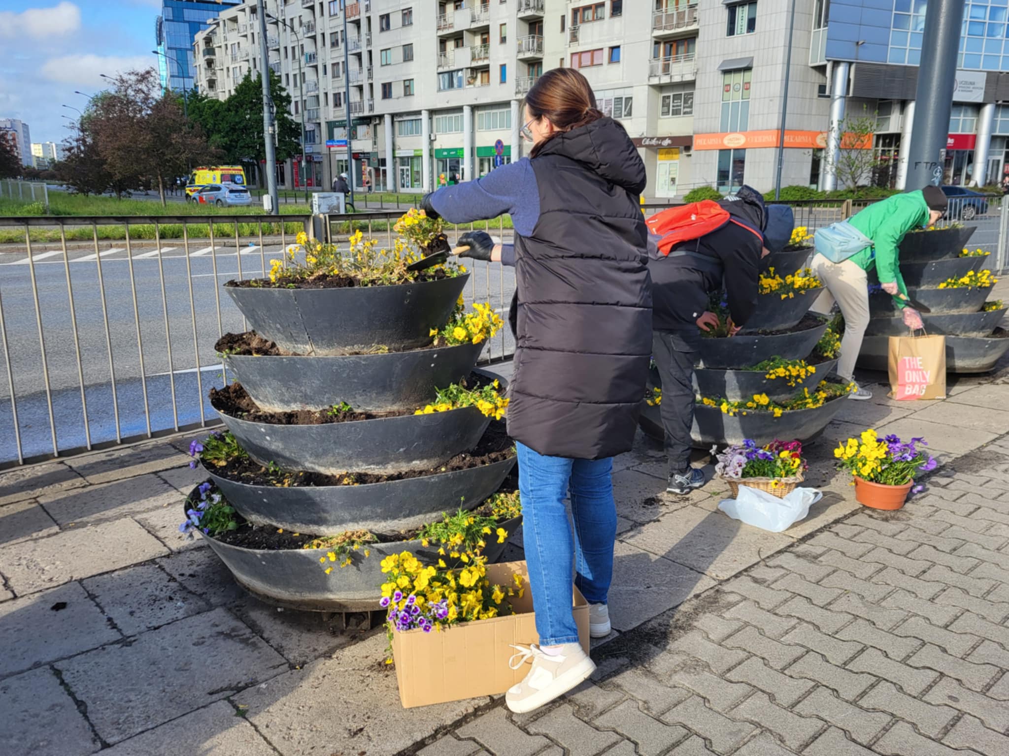 Mężczyźni i kobiety biorą bratki z piętrowego kwietnika, w tle ulica i bloki mieszkalne