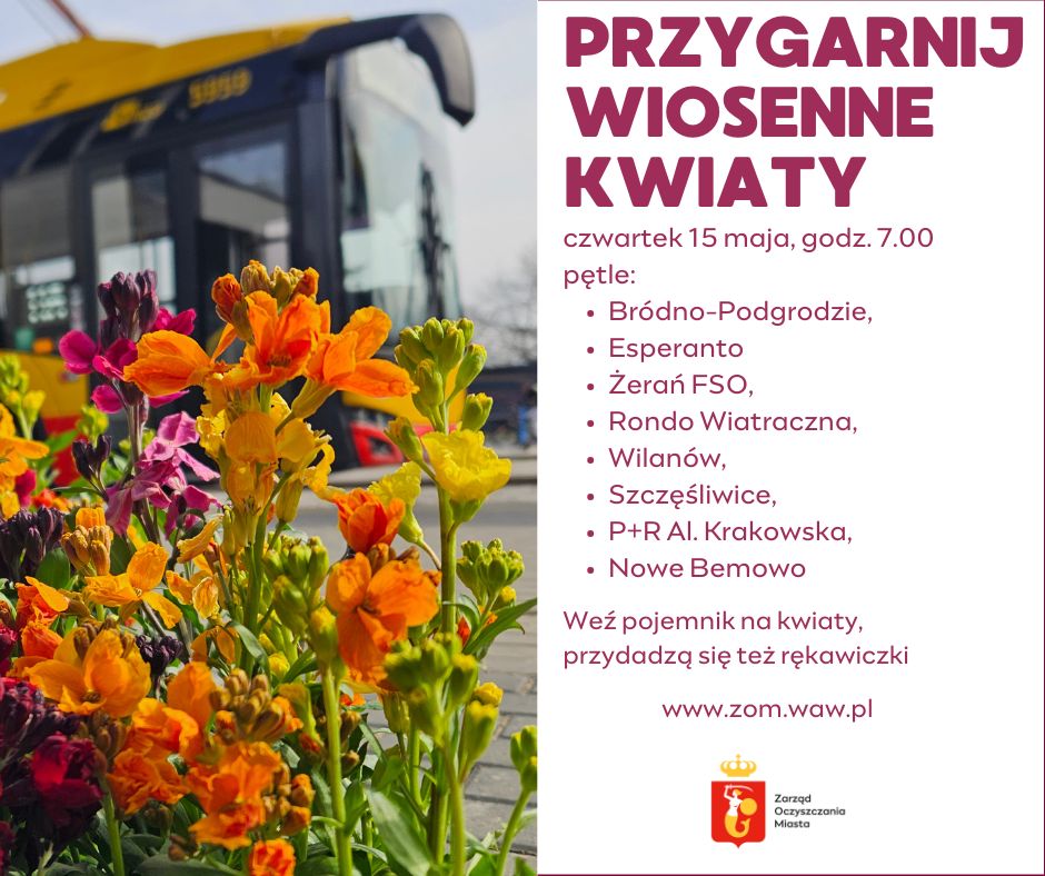 Grafika przedstawia zdjęcie kolorowych laków, a w tle autobus oraz napis: PRZYGARNIJ WIOSENNE KWIATY, czwartek 15 maja, godz. 7.00  pętle: Bródno-Podgrodzie, Esperanto Żerań FSO, Rondo Wiatraczna, Wilanów, Szczęśliwice, P+R Al. Krakowska, Nowe Bemowo, Weź pojemnik na kwiaty, przydadzą się też rękawiczki  
