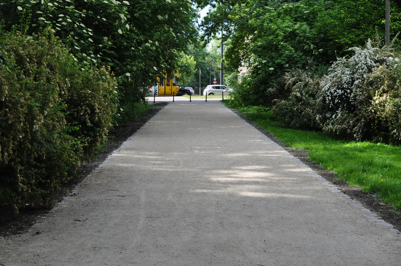 Nowa aleja mieści się przy wejściu do parku w okolicy przystanku tramwajowego Berezyńska Fot. Zarząd Oczyszczania Miasta