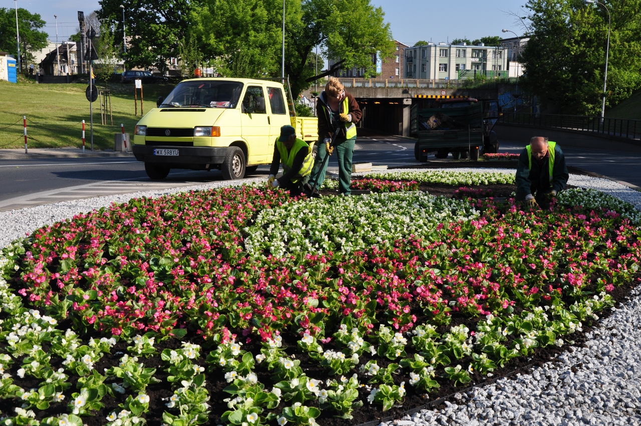 Kwiatową różową wstążkę można podziwiać przed dworcem PKP Warszawa Włochy Fot. Zarząd Oczyszczania Miasta